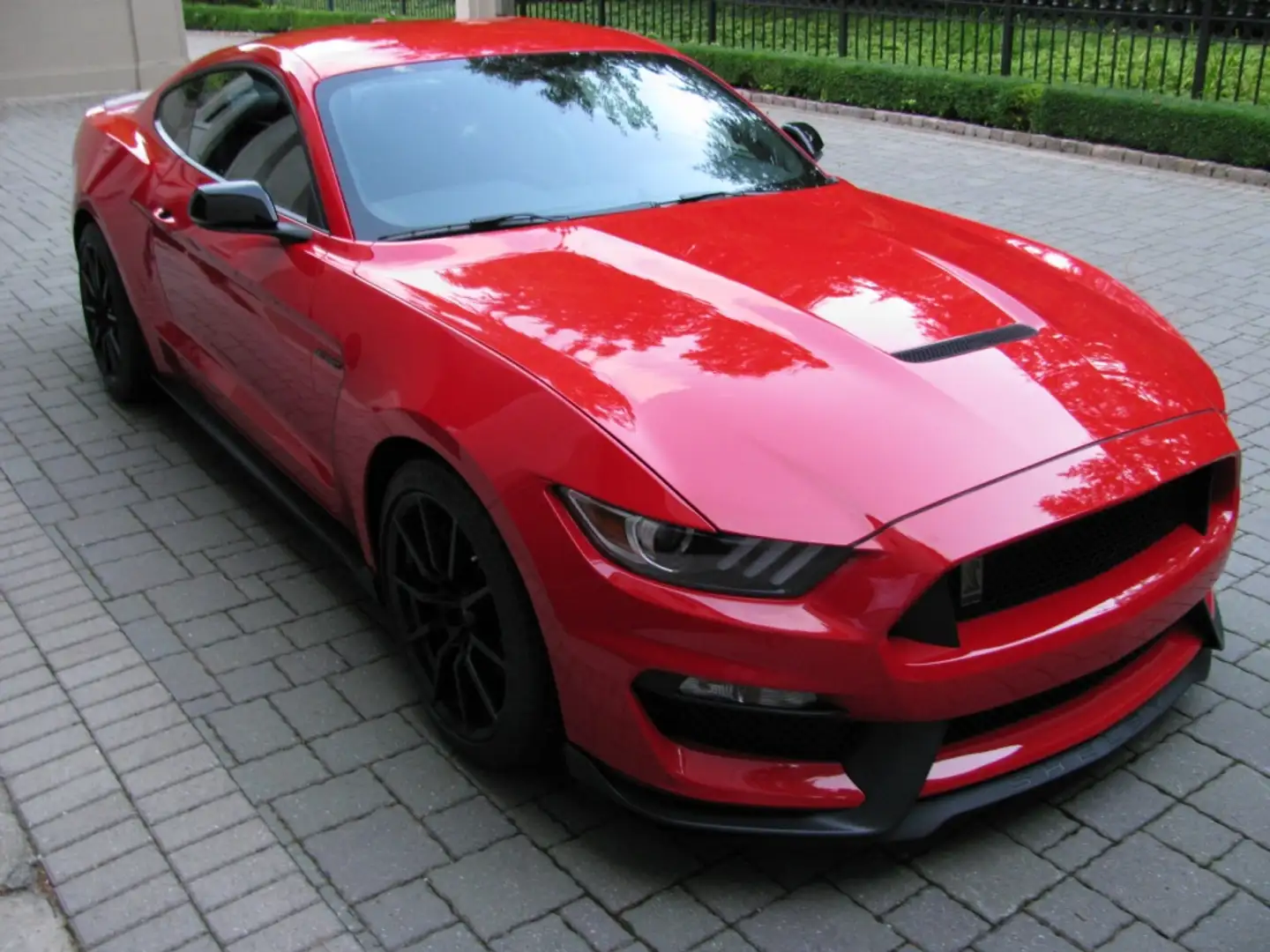 Ford Mustang Shelby GT350 Rood - 2