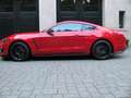 Ford Mustang Shelby GT350 Rojo - thumbnail 5