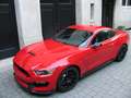 Ford Mustang Shelby GT350 Rood - thumbnail 4
