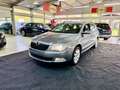 Skoda Superb 2.0TDI 170PS DSG Grau - thumbnail 1
