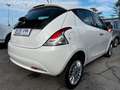 Lancia Ypsilon 1.2 8v Silver ecochic Gpl 69cv "TAGLIANDI LANCIA" Bianco - thumbnail 6