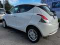 Lancia Ypsilon 1.2 8v Silver ecochic Gpl 69cv "TAGLIANDI LANCIA" Bianco - thumbnail 7