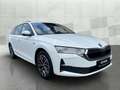 Skoda Octavia Combi 2.0 TDI 110 kW Tour*AHK*NAVI*RFK*SHZ*SmartL Wit - thumbnail 3