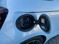 Fiat 500e Lim. by Bocelli 42 kWh *Winter-Style-Paket* Blau - thumbnail 19