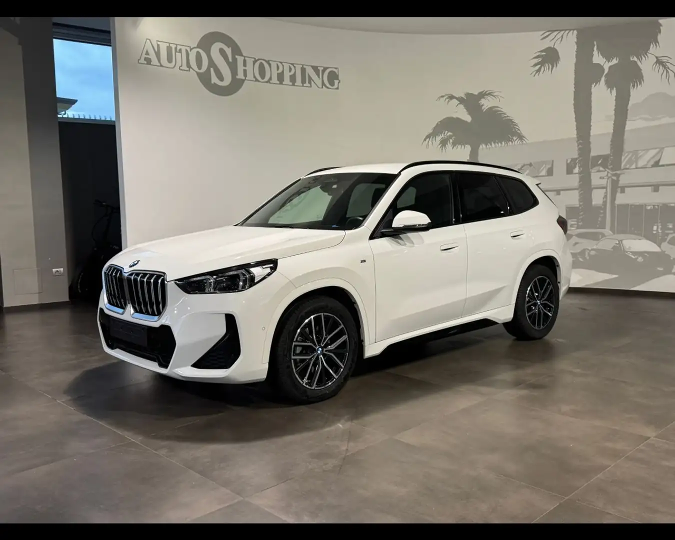 BMW X1 (U11) sDrive 20d Msport Blanc - 1