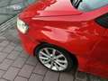 Volkswagen Polo 1.4 CR TDi MET 124DKM HANDELAARS & EXPORT Rosso - thumbnail 14