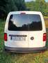 Volkswagen Caddy Caddy 1.4 BiFuel TGI Maxi Food track Kawiarnia Weiß - thumbnail 4