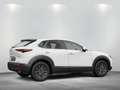 Mazda CX-30 e-SKYACTIV-G M-Hybrid 140 "Prime-Line" Exklusiv no Weiß - thumbnail 3