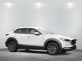 Mazda CX-30 e-SKYACTIV-G M-Hybrid 140 "Prime-Line" Exklusiv no Weiß - thumbnail 2
