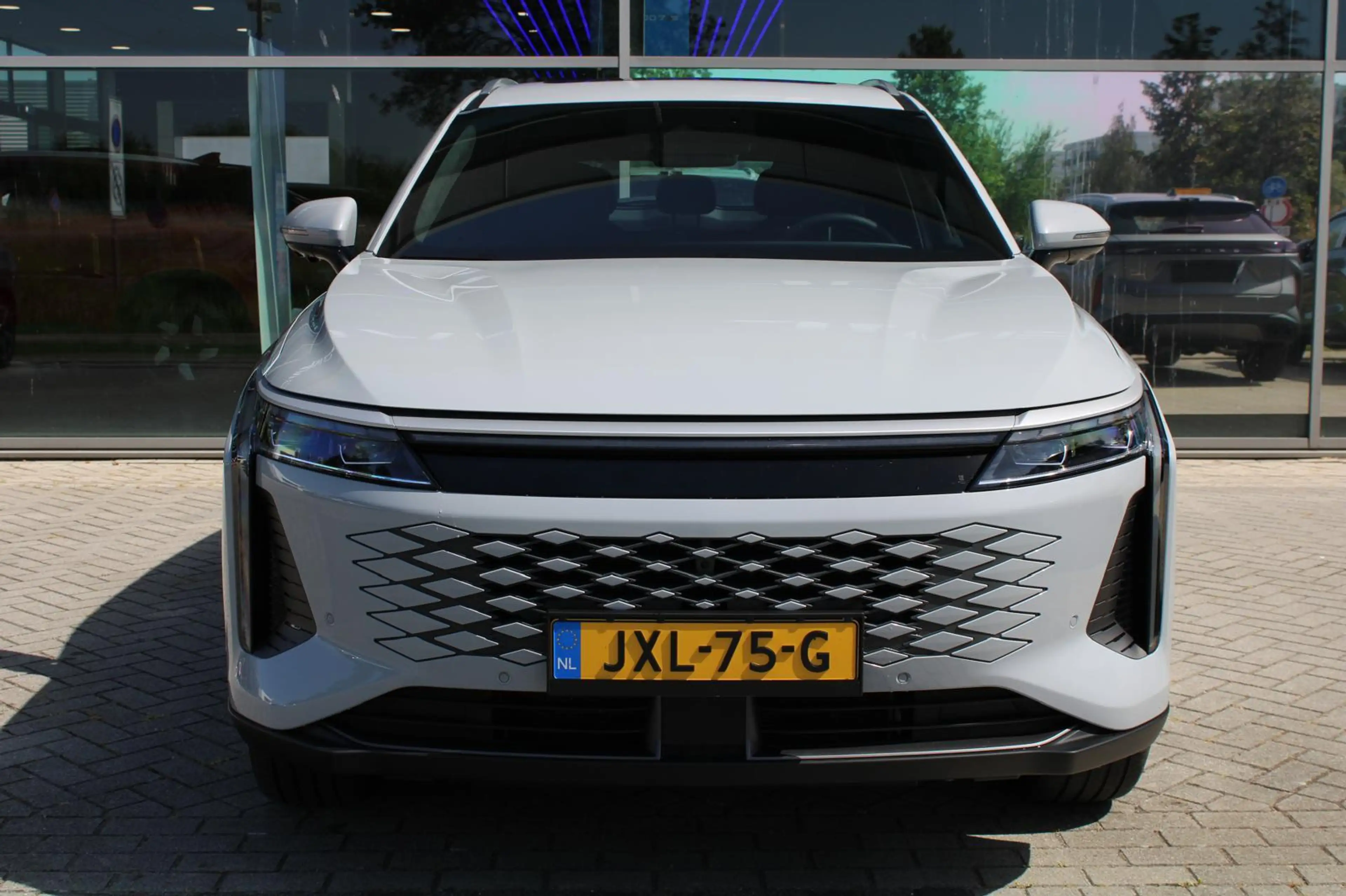 Omoda 9 SHS-P Premium | PHEV l — photo 4