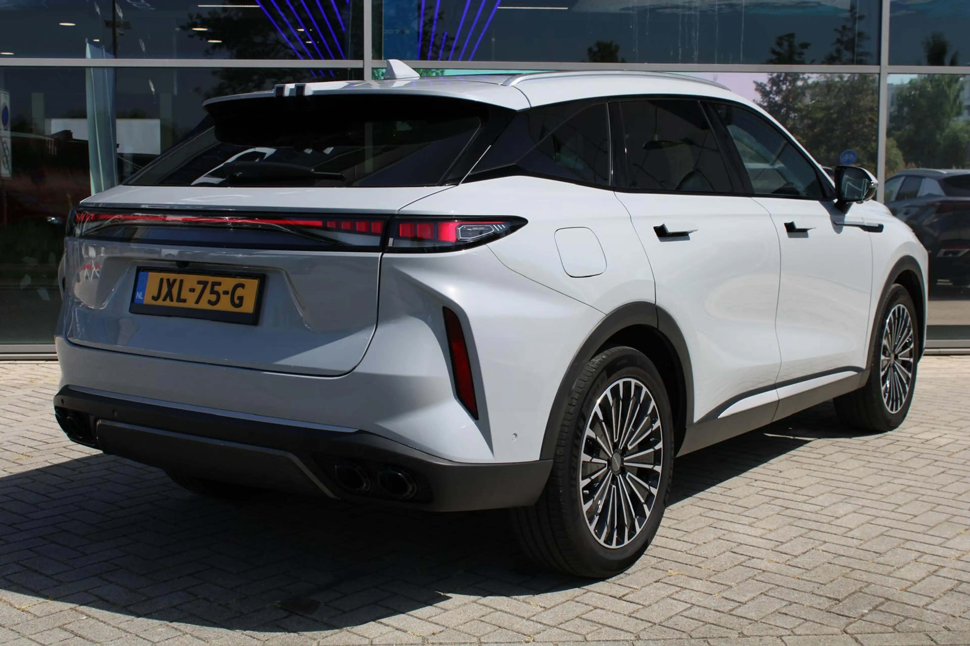 Omoda 9 SHS-P Premium | PHEV l — photo 8