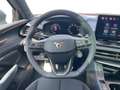 CUPRA Terramar 2.0 TSI DSG 4Drive VZ+AHK+PANO+MATRIX Grau - thumbnail 12