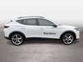 CUPRA Formentor 2.0 TDI 150 PS DSG Weiß - thumbnail 5