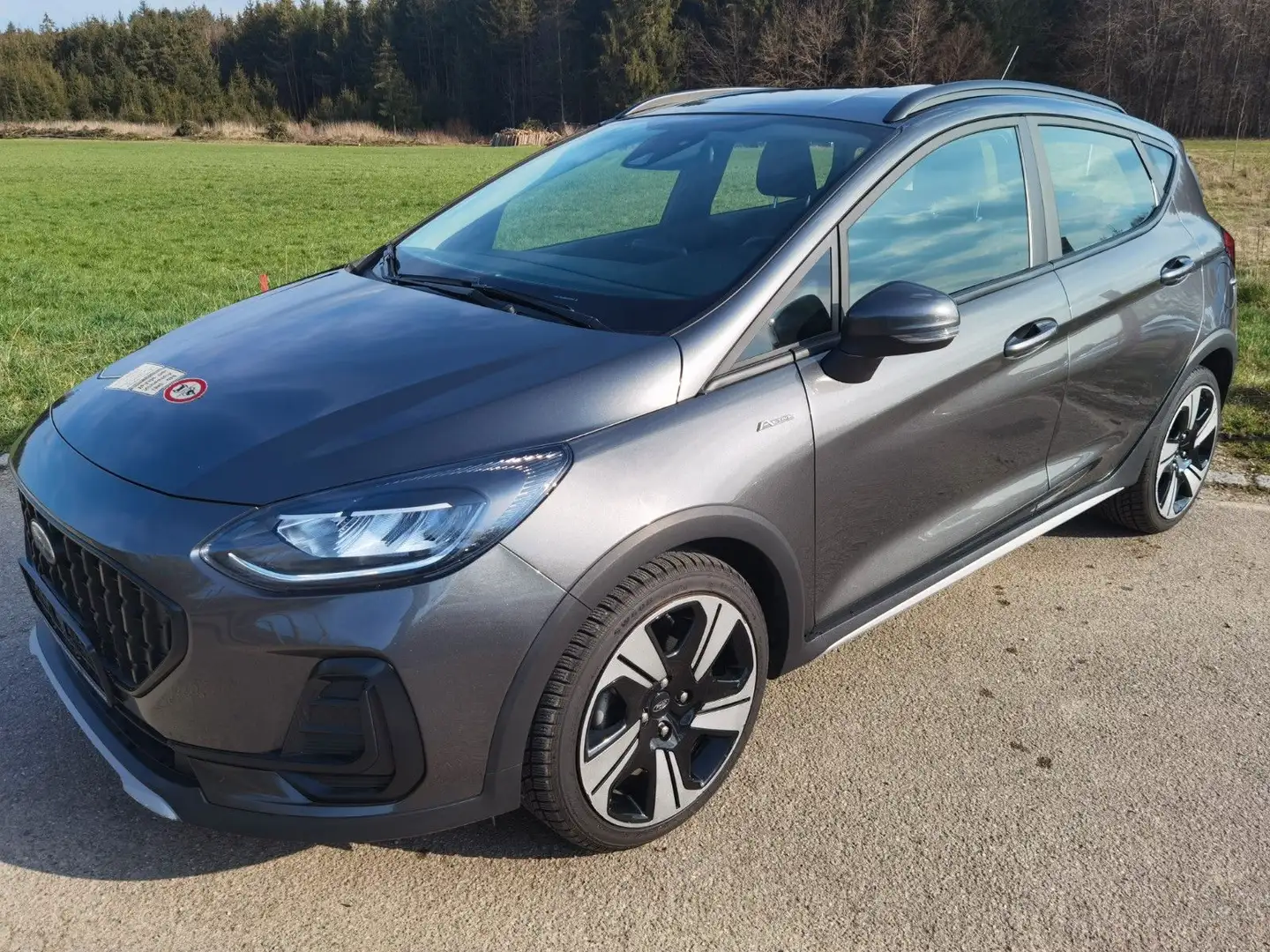 Ford Fiesta Active Grau - 1