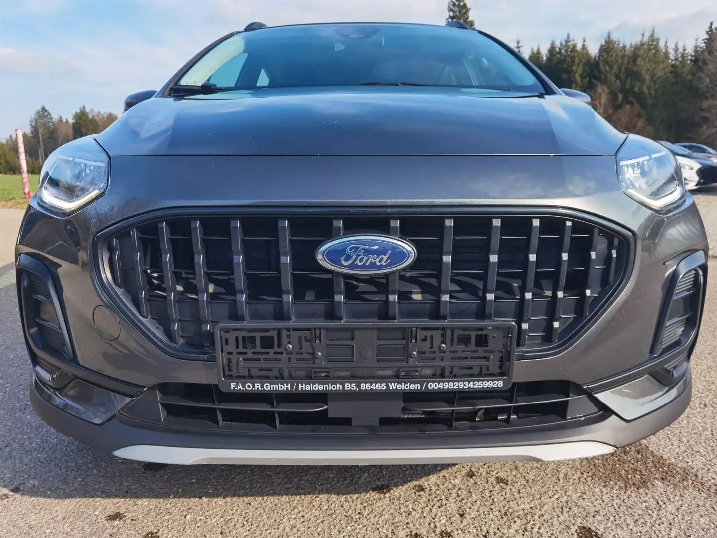 Ford Fiesta Active Grau - 2