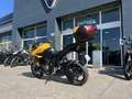 Triumph Tiger Sport Jaune - thumbnail 5