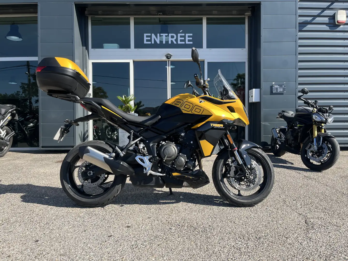 Triumph Tiger Sport Jaune - 1