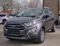 Ford EcoSport Titanium, Automatik*Carplay*Teilleder*Sitzheizung* Grau - thumbnail 1