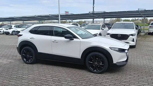 Mazda CX-30 view 10