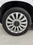 Fiat 500L 1.3 mjt Business 95cv - thumbnail 15