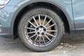 Volkswagen Tiguan iQ Drive TDI SCR 4MOTION DSG Blau - thumbnail 3