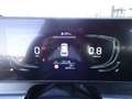 Kia Sportage Sportage 1.6 CRDi MHEV Business Argento - thumbnail 15