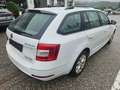 Skoda Octavia Octavia Combi 1,6 TDI Ambition DSG Automatik!Euro6 Weiß - thumbnail 5