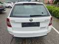 Skoda Octavia Octavia Combi 1,6 TDI Ambition DSG Automatik!Euro6 Weiß - thumbnail 6