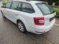Skoda Octavia Octavia Combi 1,6 TDI Ambition DSG Automatik!Euro6 Weiß - thumbnail 7