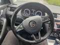 Skoda Octavia Octavia Combi 1,6 TDI Ambition DSG Automatik!Euro6 Weiß - thumbnail 12