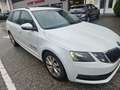 Skoda Octavia Octavia Combi 1,6 TDI Ambition DSG Automatik!Euro6 Weiß - thumbnail 4