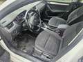 Skoda Octavia Octavia Combi 1,6 TDI Ambition DSG Automatik!Euro6 Weiß - thumbnail 10
