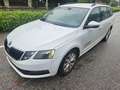 Skoda Octavia Octavia Combi 1,6 TDI Ambition DSG Automatik!Euro6 Weiß - thumbnail 2
