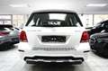 Mercedes-Benz GLK 220 CDI 4M BE Sport Edition AMG Sportpaket Weiß - thumbnail 8