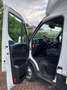 Iveco Daily 35C16 Laadklep (15 diverse modellen op voorraad) Wit - thumbnail 15