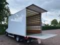 Iveco Daily 35C16 Laadklep (15 diverse modellen op voorraad) Wit - thumbnail 13