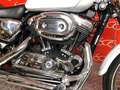 Harley-Davidson XL 1200 c Bianco - thumbnail 6