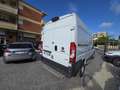 Fiat Ducato 35 3.0 CNG PLM-SL-TM Furgone Maxi Bianco - thumbnail 7