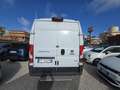 Fiat Ducato 35 3.0 CNG PLM-SL-TM Furgone Maxi Bianco - thumbnail 4