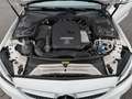 Mercedes-Benz C 180 Cabrio AMG* Ambiente* Alcantara* LED* Weiß - thumbnail 28