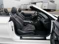 Mercedes-Benz C 180 Cabrio AMG* Ambiente* Alcantara* LED* Weiß - thumbnail 24