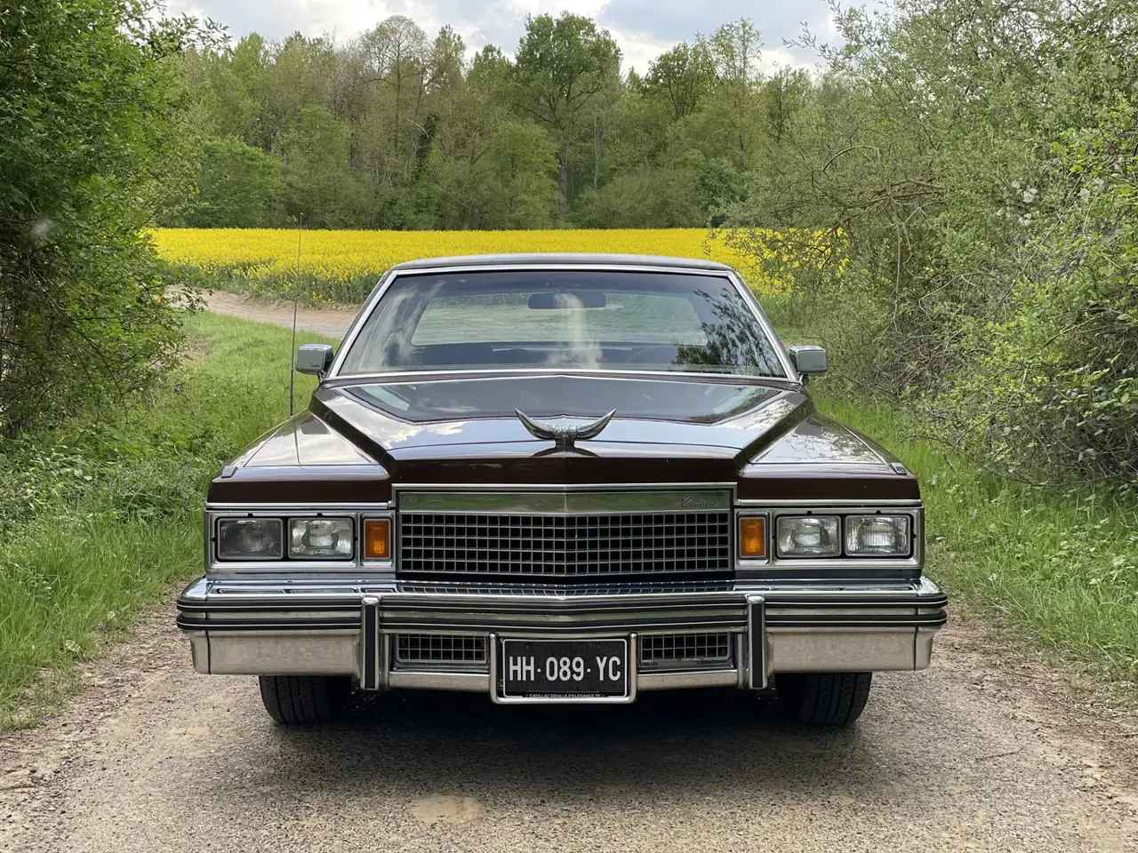Cadillac Deville d'Elegance, foto 5