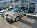 Lancia Ypsilon Ypsilon 1.3 mjt Neopatentati Grigio - thumbnail 3