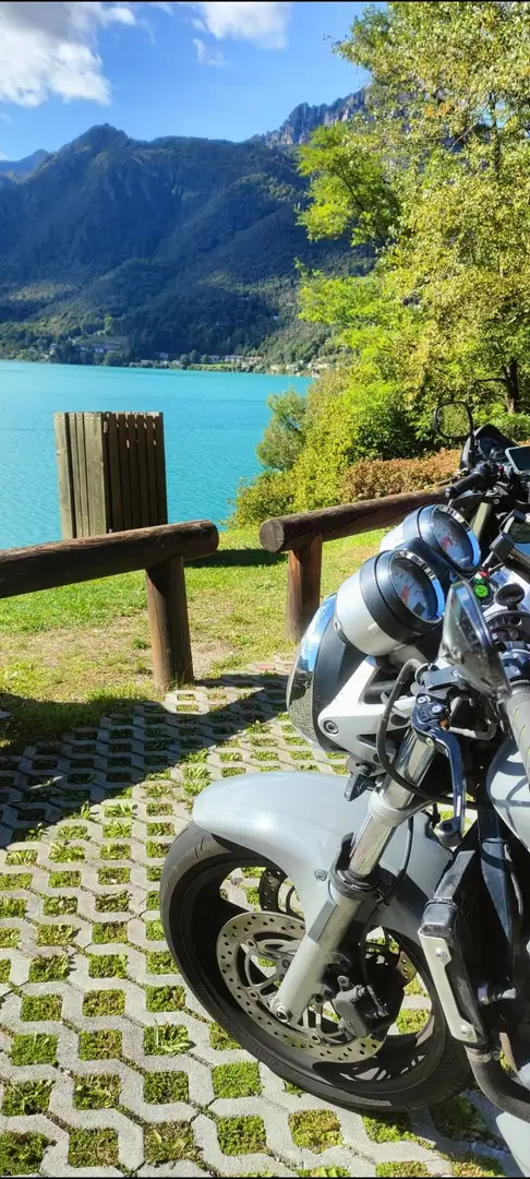 Honda Hornet hornet 600 Gris - 1