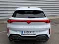 CUPRA Terramar 2.0 TSI 204 PS DSG 4Drive Weiß - thumbnail 4