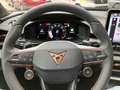CUPRA Terramar 2.0 TSI 204 PS DSG 4Drive Weiß - thumbnail 11