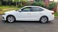 Skoda Octavia Octavia 2.0 TDI 150 ch SCR FAP DSG7 Edition - thumbnail 2