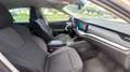Skoda Octavia Octavia 2.0 TDI 150 ch SCR FAP DSG7 Edition - thumbnail 7