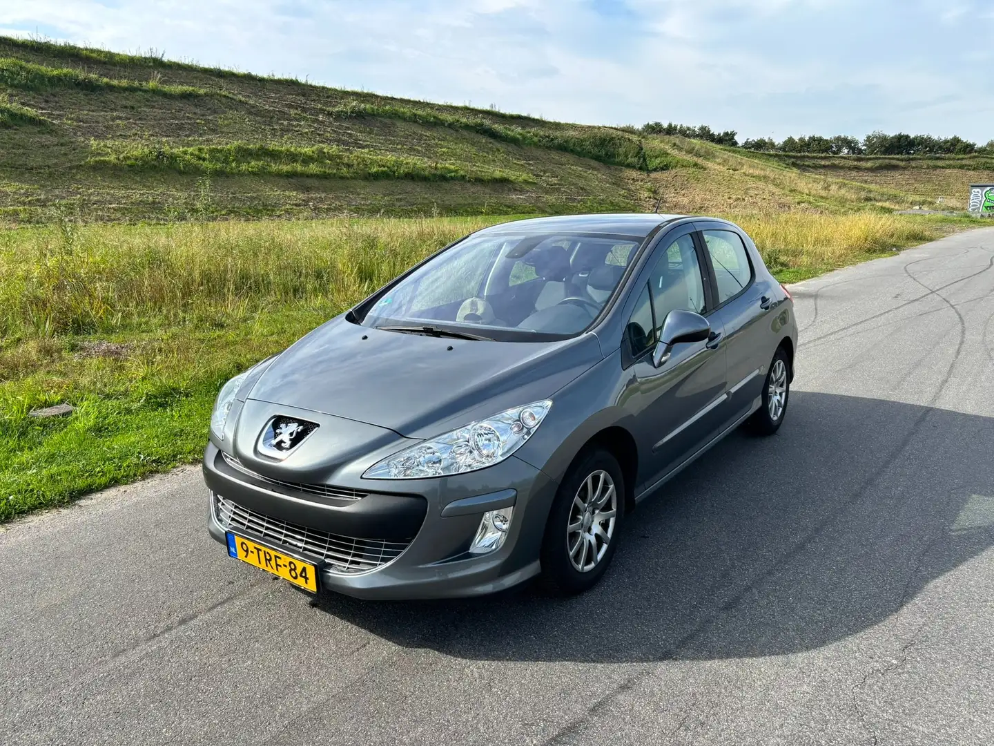 Peugeot 308 308 1.6 VTi XS Première Silver - 2