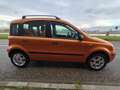 Fiat Panda 1.2 Emotion -2008-197 Km-Trekhaak-Apk.25-07-26 - thumbnail 6
